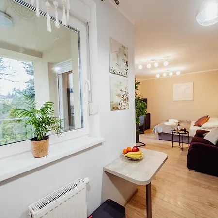 Apartament Zielona 11 Jelenia Góra Zewnętrze zdjęcie